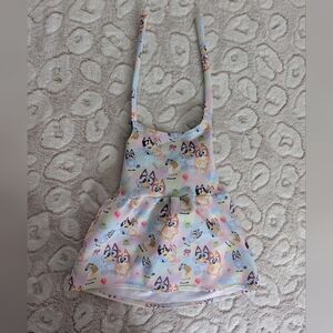 Custom Bluey Dress